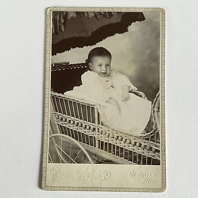 #ad Antique Cabinet Card Photograph Adorable Little Girl In Stroller Coldwater MI $34.95