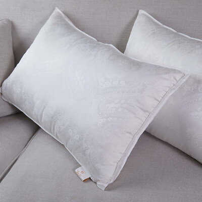 #ad Natural silk pillow 100% silk filling high end luxury pillow couple pillow $145.90