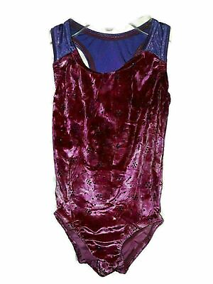 LIZATARDS Size CS S Leotard Pink Purple Shimmery Velvet Gymnastics $19.99