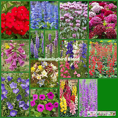 #ad Wildflower Mix HUMMINGBIRD BLEND Perennials Annuals Heirloom Non GMO 1500 Seeds $4.48