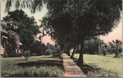 c1910s MONROVIA California Hand Colored Postcard quot;White Oak Ave.quot; Street View $5.02
