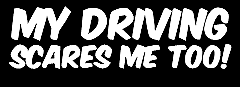#ad my driving scares me too funny vinyl decal car bumper sticker 088 $5.00