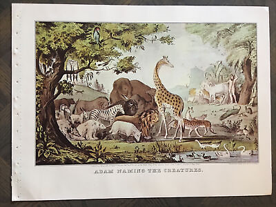 #ad 1952 Currier and Ives Lithograph Adam Naming The Creatures. $8.00