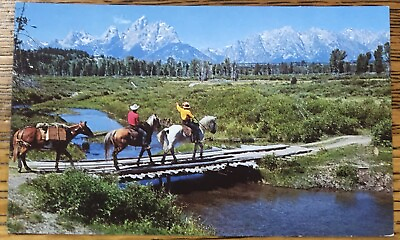 #ad On the Trail Scenic Splendor Vintage Color Postcard Mountain View Horses $5.99