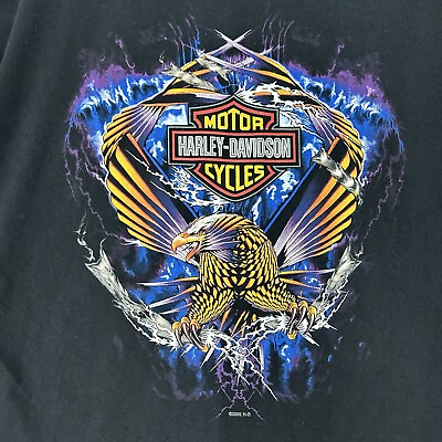 #ad Harley Davidson 2005 Graphic T Shirt Lightning Eagle And Fire Wolf Men’s Size L $23.99