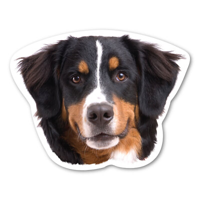 #ad Bernese Mountain Dog Magnet $3.49