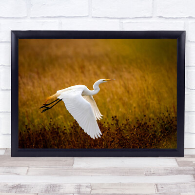 #ad Autumn Flight Egret Fly Sunset Wildlife Wall Art Print GBP 7.99