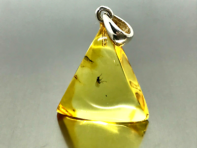 #ad Baltic Fossil Insect AMBER PENDANT Gift Natural Unique Fly Triangle 21g 18052 $28.16