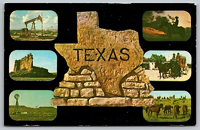 #ad Texas Land Contrast Multi View Horses Carriage Buggy Animals Windmill Postcard $12.00
