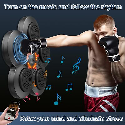 Boxing Training Target Punching Bags Wall Mount Bluetooth Music Exercise Machine $79.66