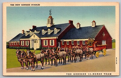 #ad New Genesee Stables Street View Horses Rochester New York Carriage VNG Postcard $12.00