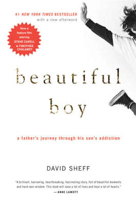 #ad Beautiful Boy: A Father#x27;s Journey Through His Son#x27;s Addiction Paperback GOOD $3.89