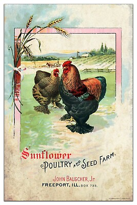 #ad Vintage Poultry Farm Eggs Art Print 11x17 Chicken Restaurant Kitchen Wall Decor $11.95