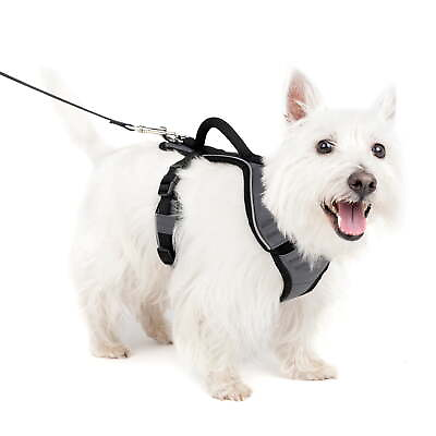 #ad EasySport Dog Harness Great for Runs Walks and Hikes Comfy $19.80